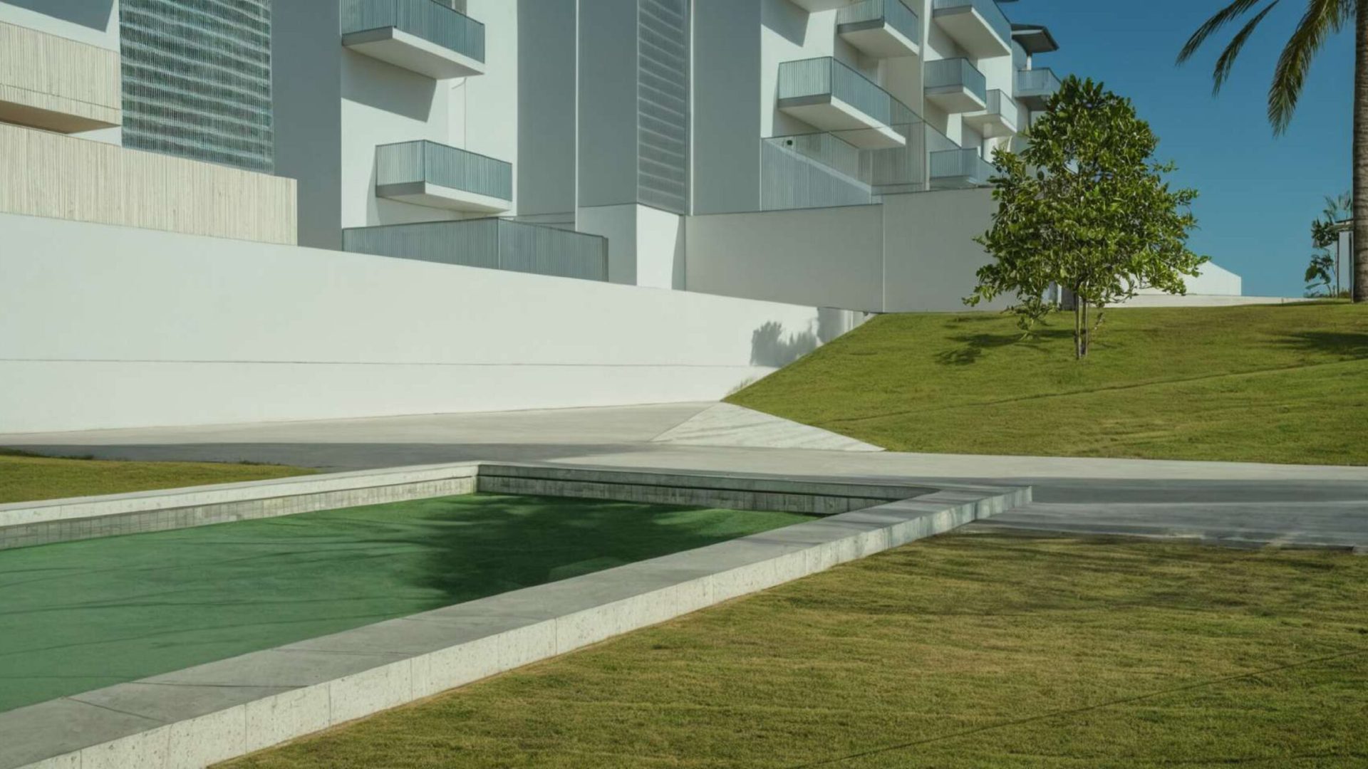 IMAGENES 60 VPPL Los Tomates_page-0001